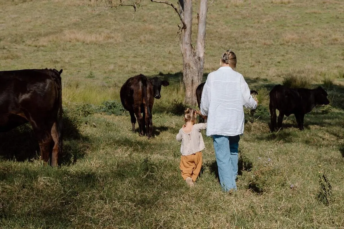 Luxe Farmstay, Main House And Brand New Tiny Home, Animals And Views! Obi Obi Dom wakacyjny